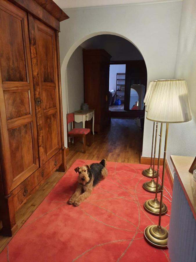 Le Clos Des Soyeux Saint-Victor-sur-Rhins Zewnętrze zdjęcie
